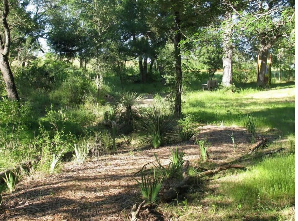 Walking trail across the 6.5 acres