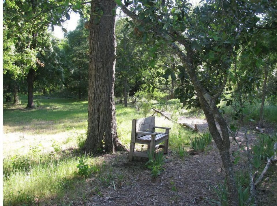 Places to sit and ponder along the walking trail