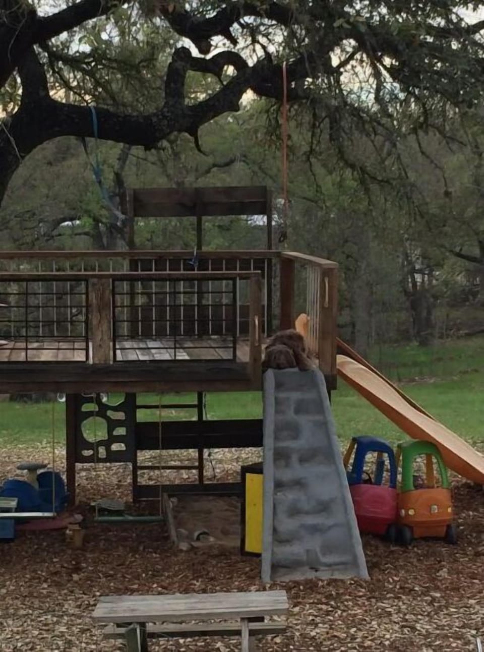 Play area with sand box, swings, and climbing wall
