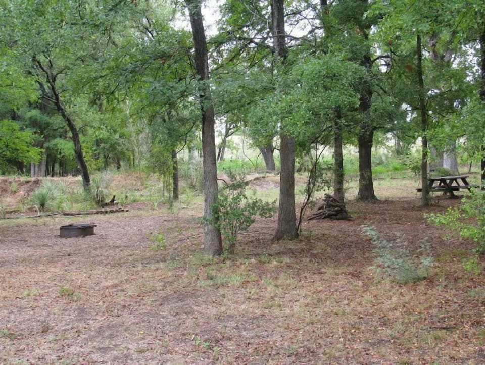Campsites are spaced apart and shady