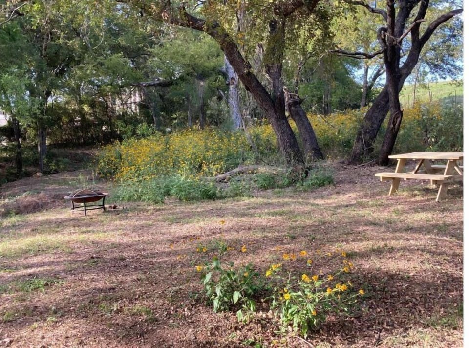 Shady campsites