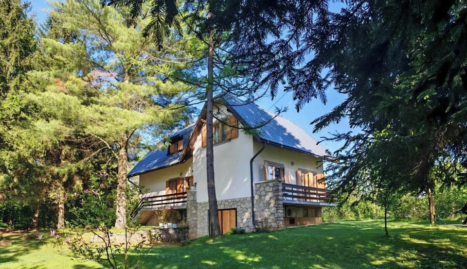 Tucked among tall pine trees, Anemona House offers peace and privacy