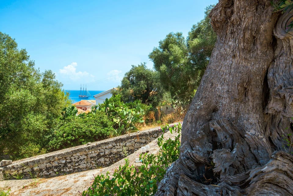 Views from property grounds%2E Ionian sea on the horizon%2E