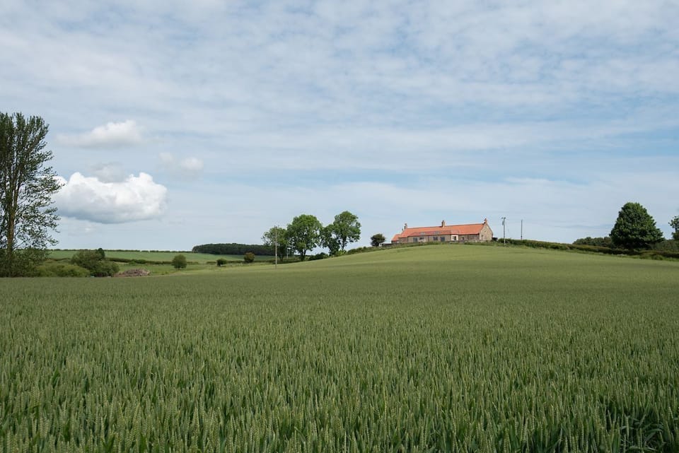 Lookout South - situated in a lovely rural setting surrounded by farmland