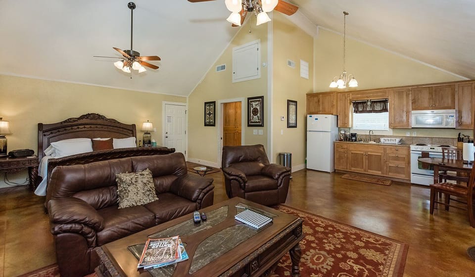 Living Room/Kitchen/Bedroom