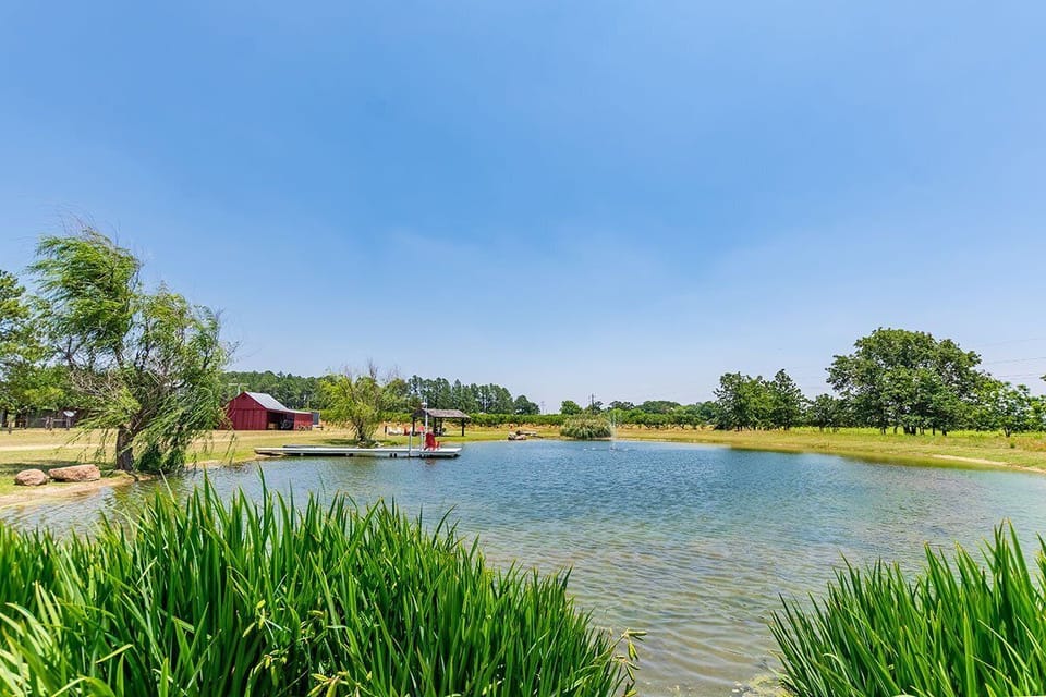 Pond