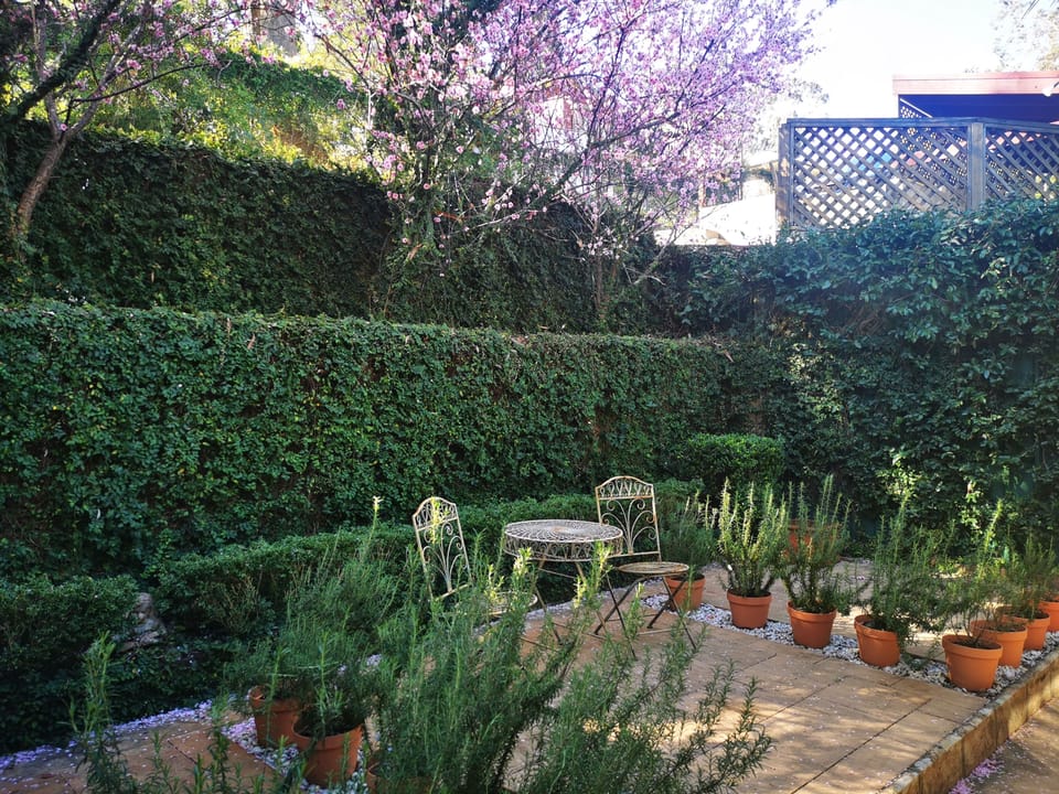 Entrance garden, main house 