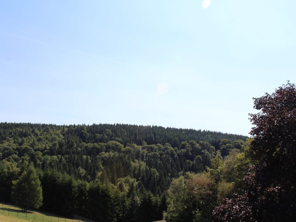 Vacation apartment 3, 47 sqm, 1 living/bedroom, terrace, max. 4 persons Apartment in Medebach