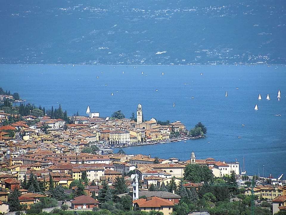 Plant, Sky, Plant Community, Natural Landscape, Branch, Tree, Grass, Shrub, Deciduous, Landscape