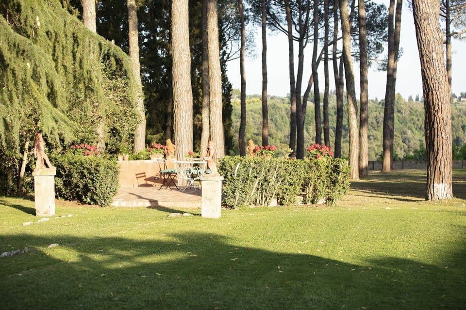 Plant, Garden, Shrub, Woody Plant, Trunk, Park, Lawn, Plantation, Landscaping, Yard