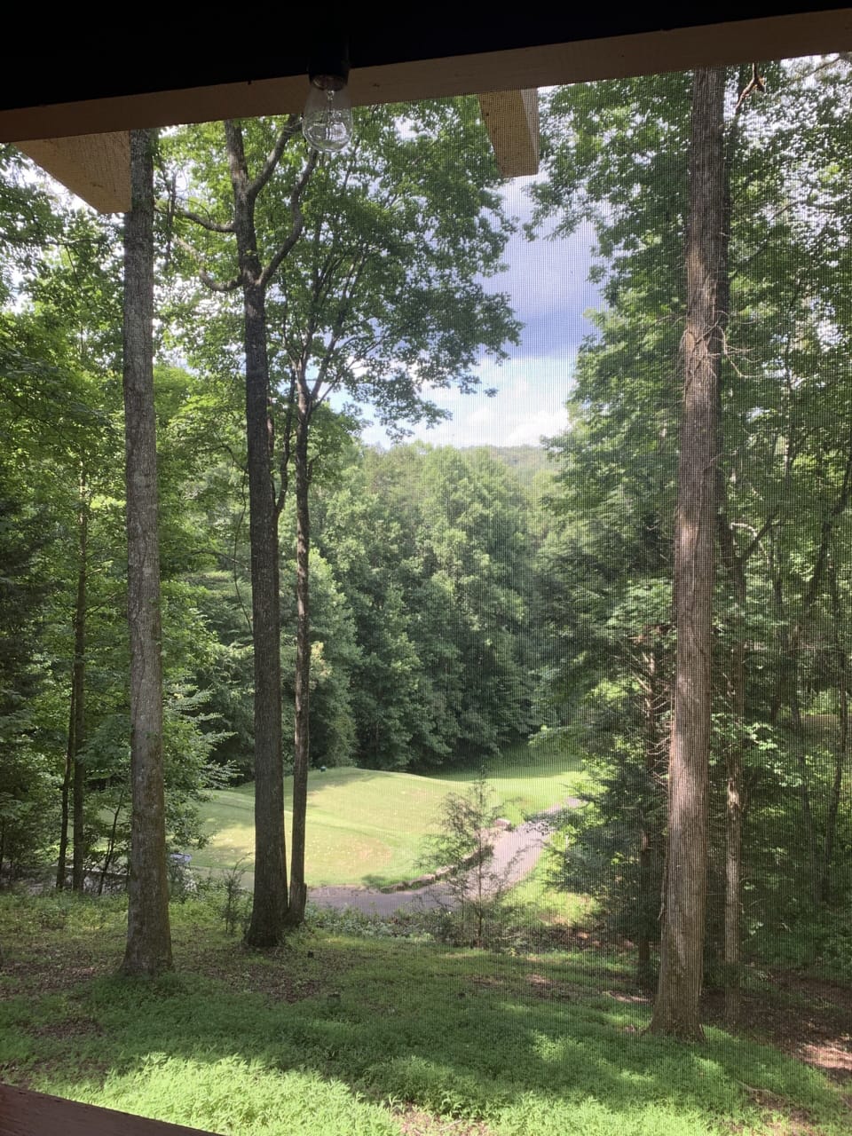 View from property