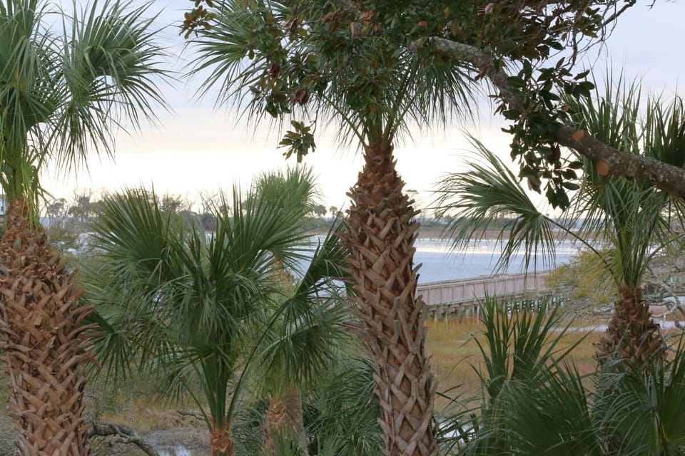 Front Porch - Ocean View