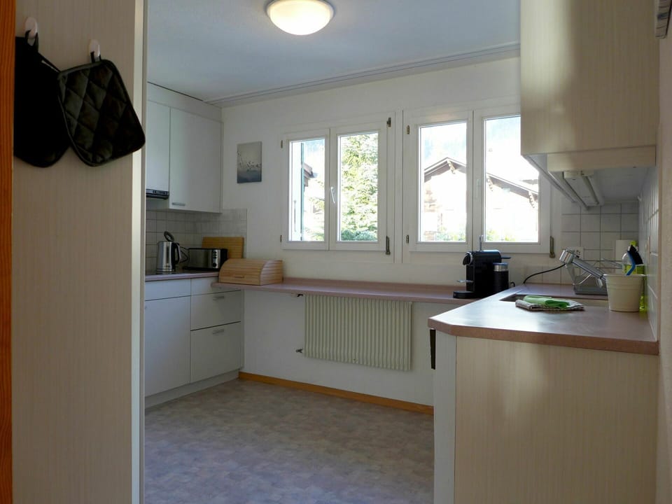 Property, Cabinetry, Window, Kitchen Sink, Building, Countertop, Interior Design, Wood, Houseplant