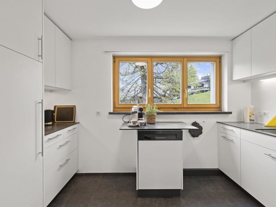 Cabinetry, Property, Window, Countertop, Sink, Kitchen Sink, Kitchen, Wood, Interior Design, Tap