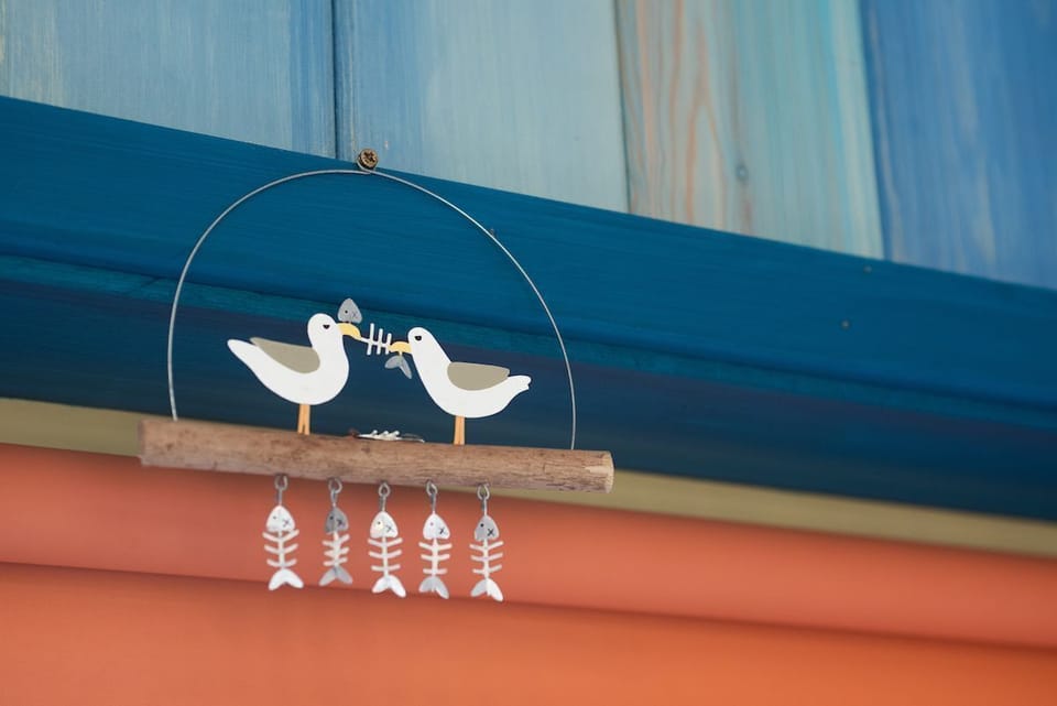 Berrington Beach Hut - some fun bits of decor bring a distinctly beachy vibe