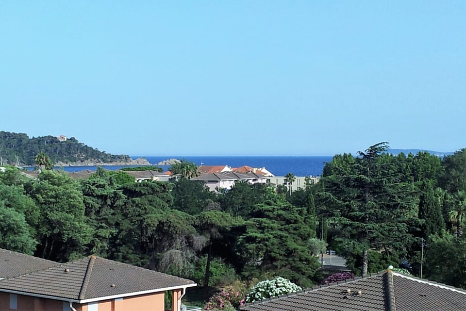 Beach/ocean view