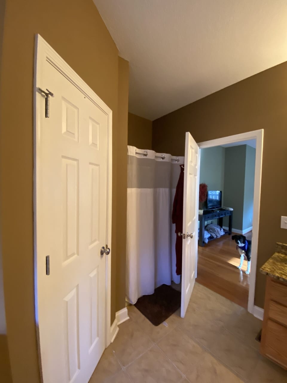 master walk-in shower
