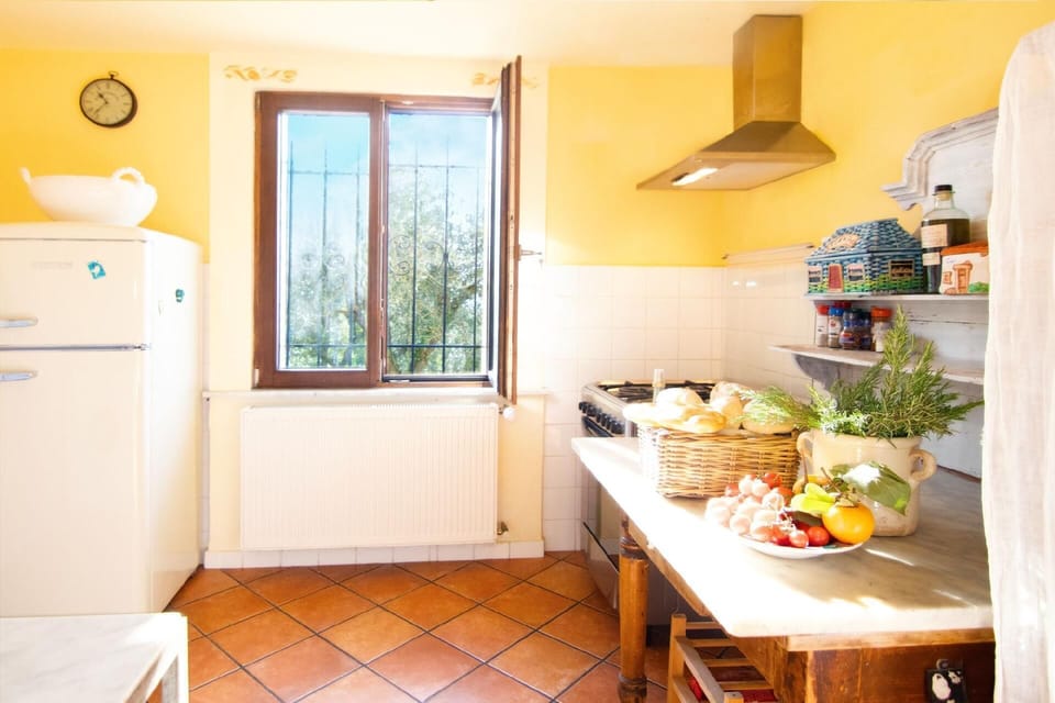 Kitchen overlooking olive grove