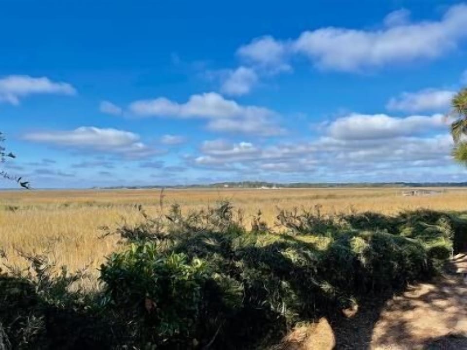 Marsh view from the outdoor screened in porch.