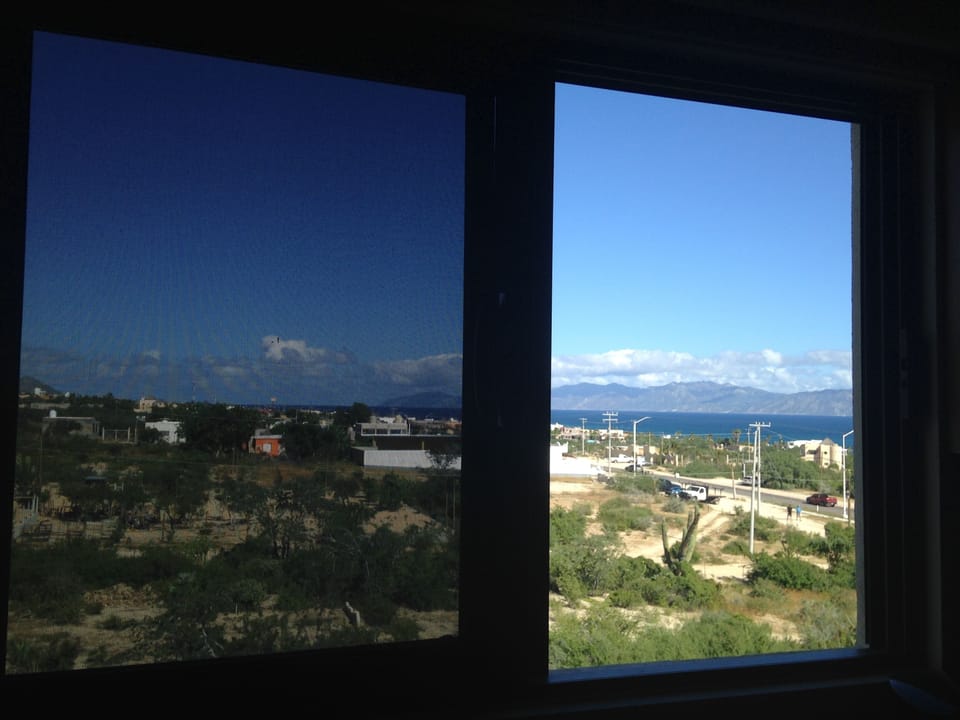 View of the island out the kitchen window.