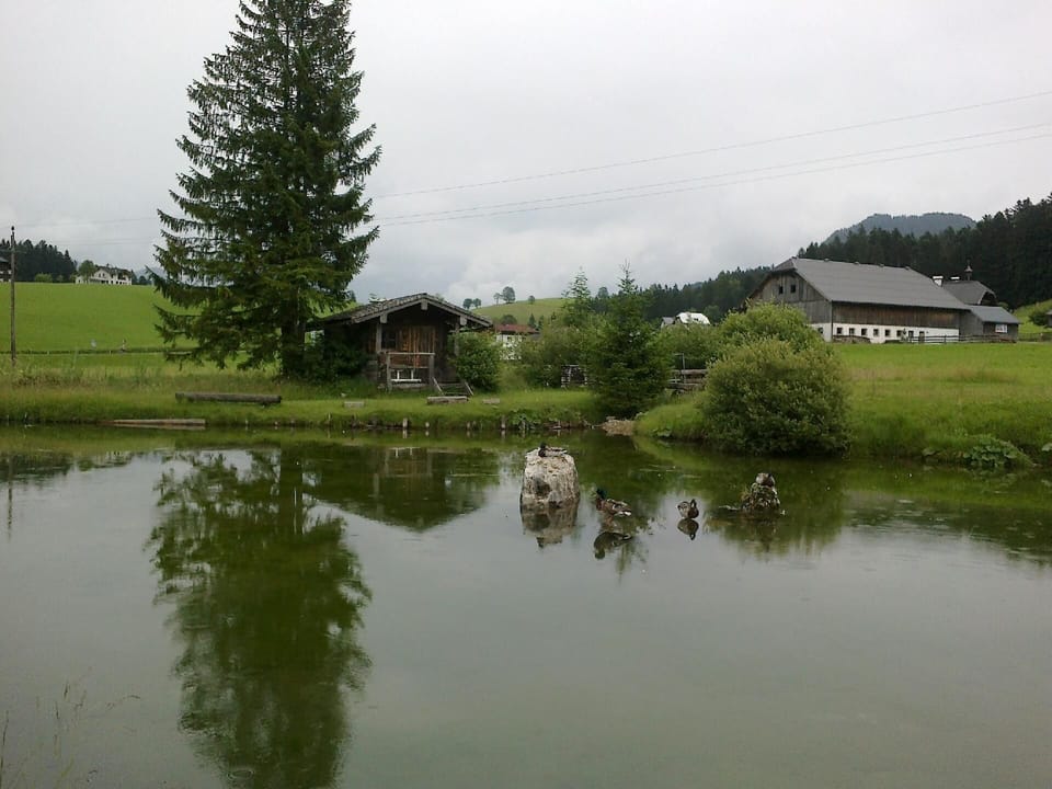 Area that directly surrounds the property