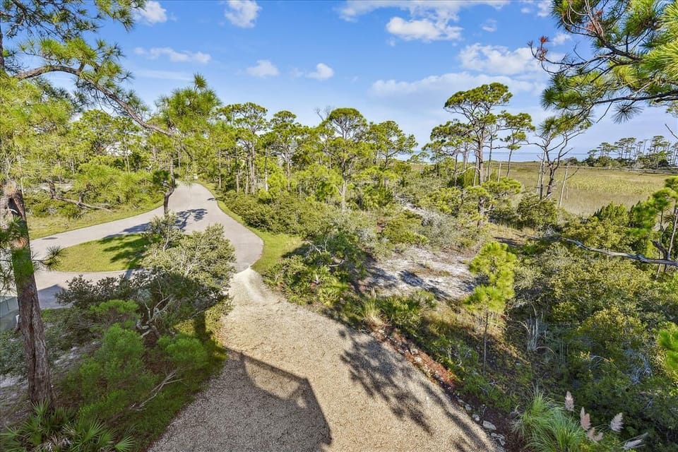 Upper Level Deck View