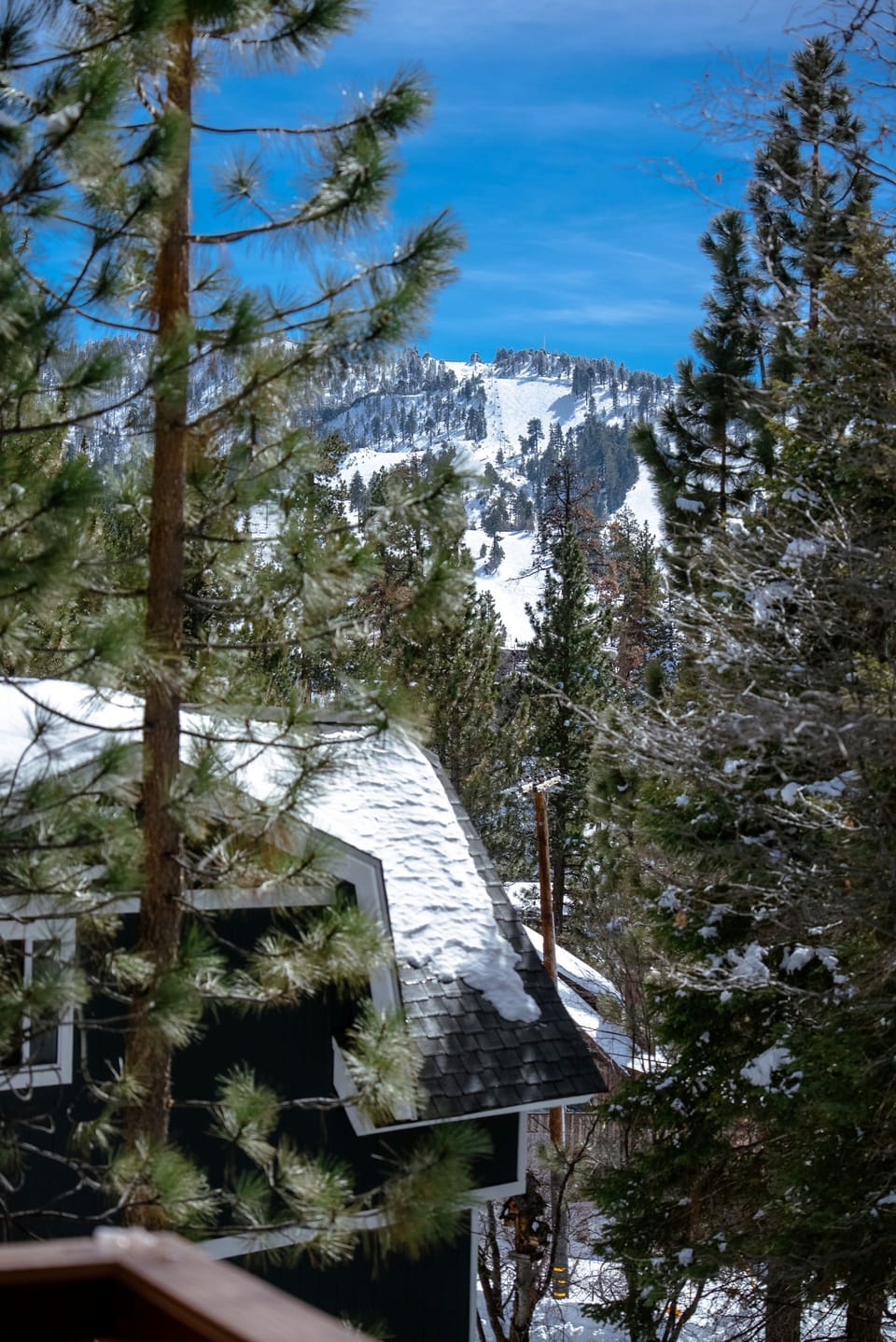 View of Bear Mountain