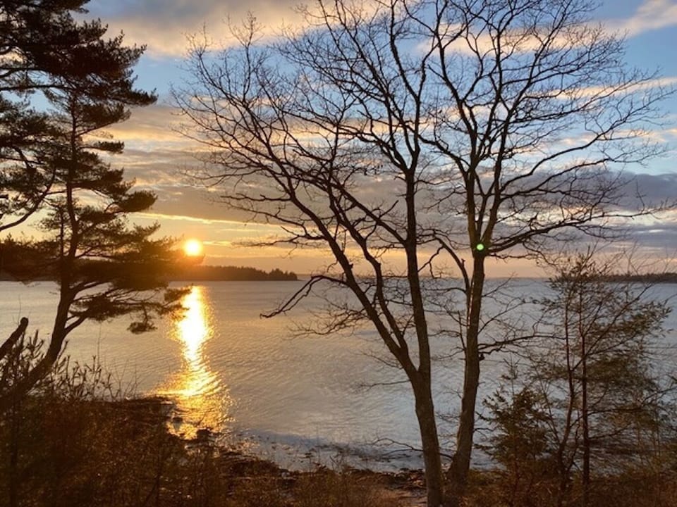Winter sunrise