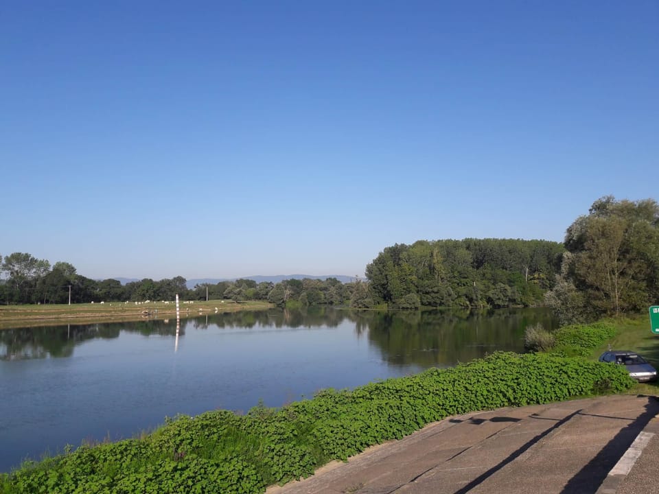 The banks of the Saône (4)