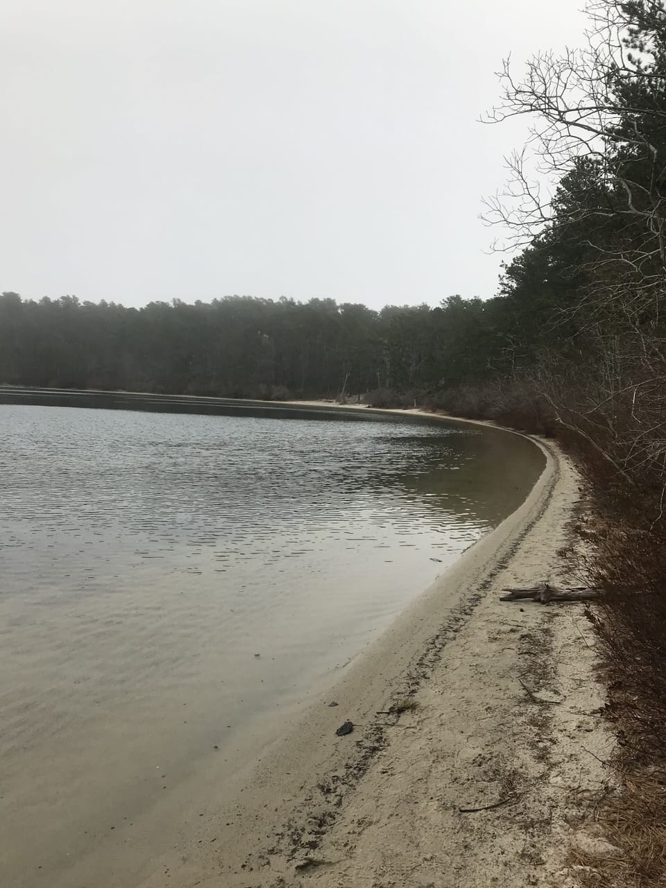 Nearby duck pond