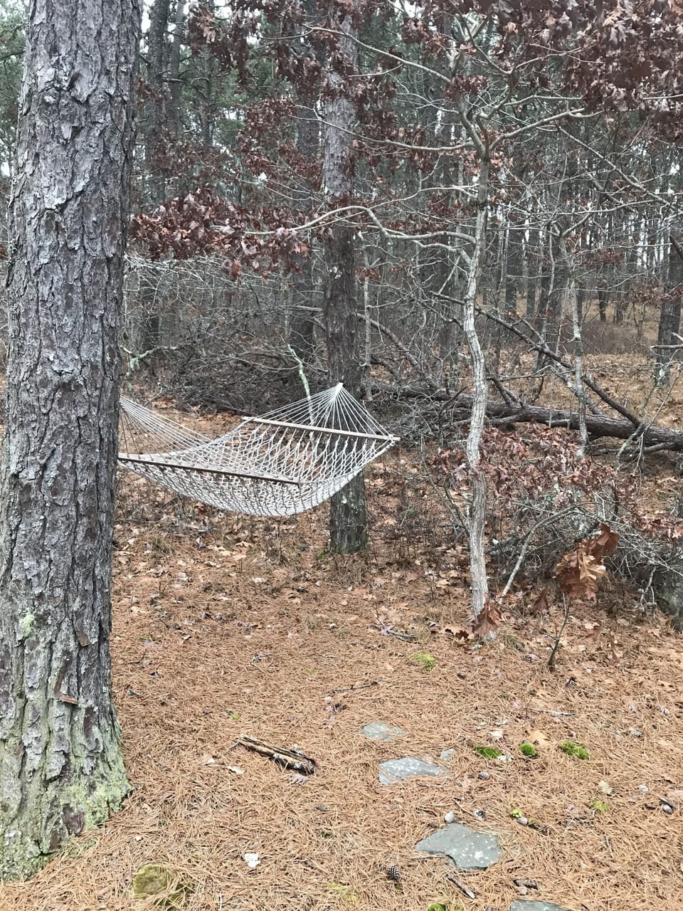 Hang out here!
