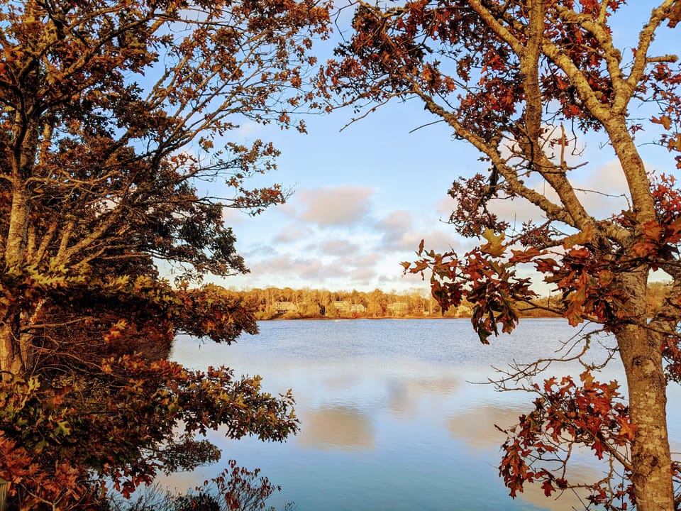 A fall view of Great Pond, just minutes away.