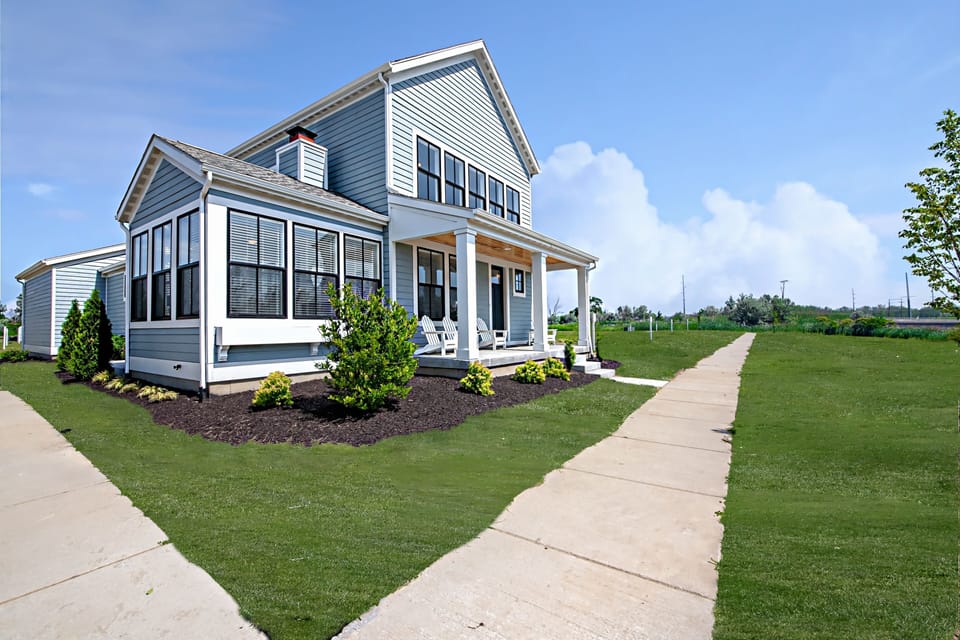 close up of Water's Edge