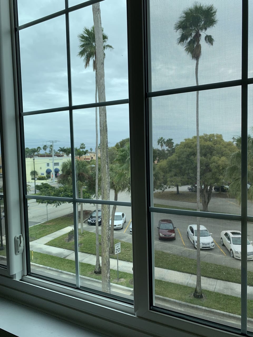 View overlooking Tampa Avenue & Centennial Park.