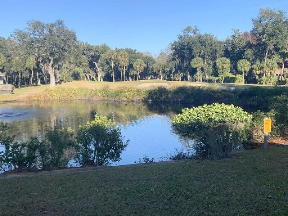 Lagoon and golf view from family room and main bedroom