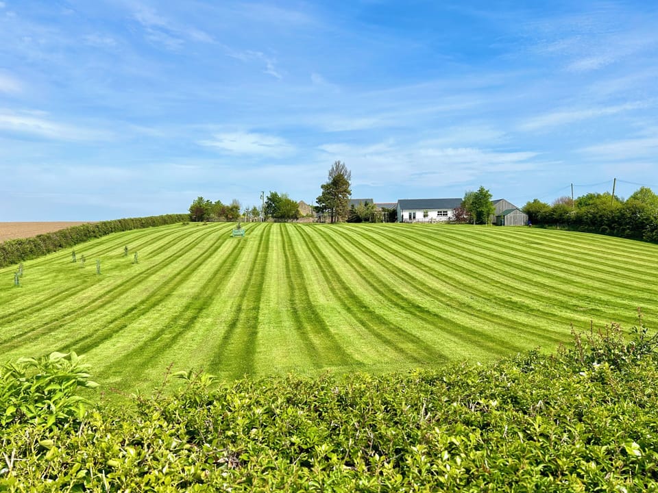 Looking up to Lickar Lea with Appletrees, the white cottage to the right.