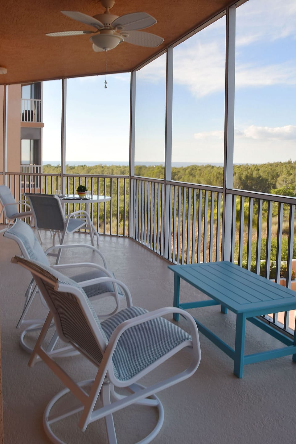 Screened Balcony/Lanai