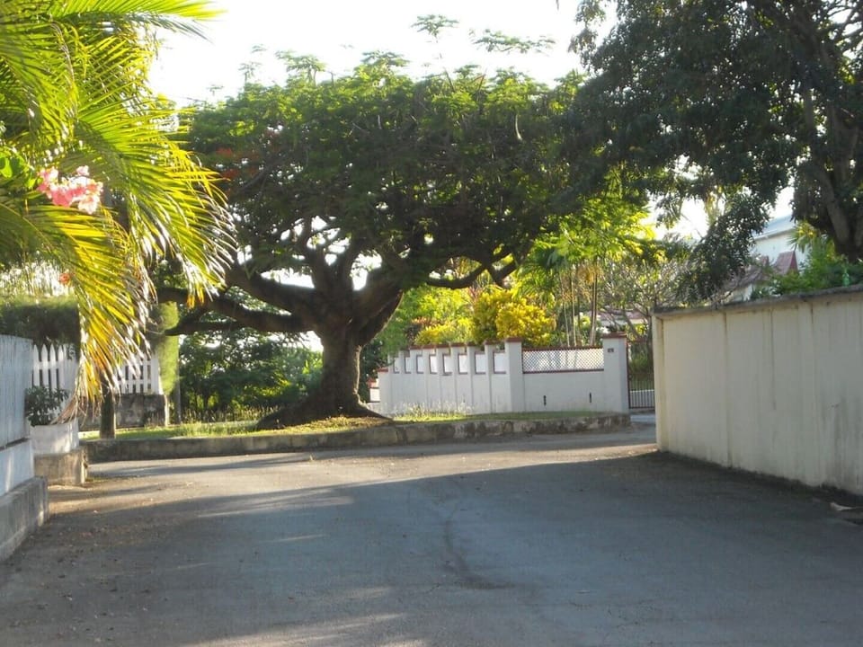 Street in the residential area