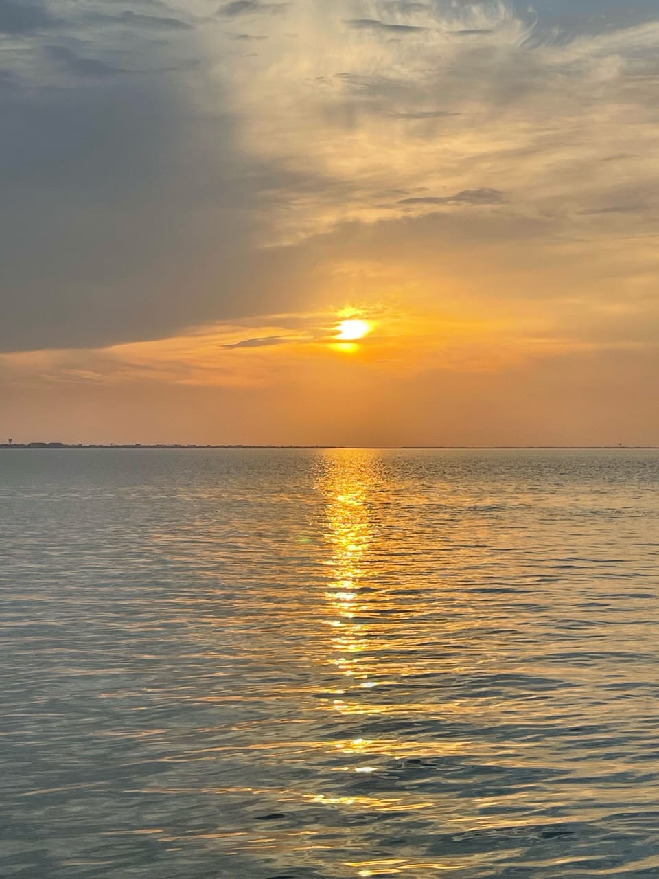 CAPTURED AT THE END OF OUR STREET 
       ☀️