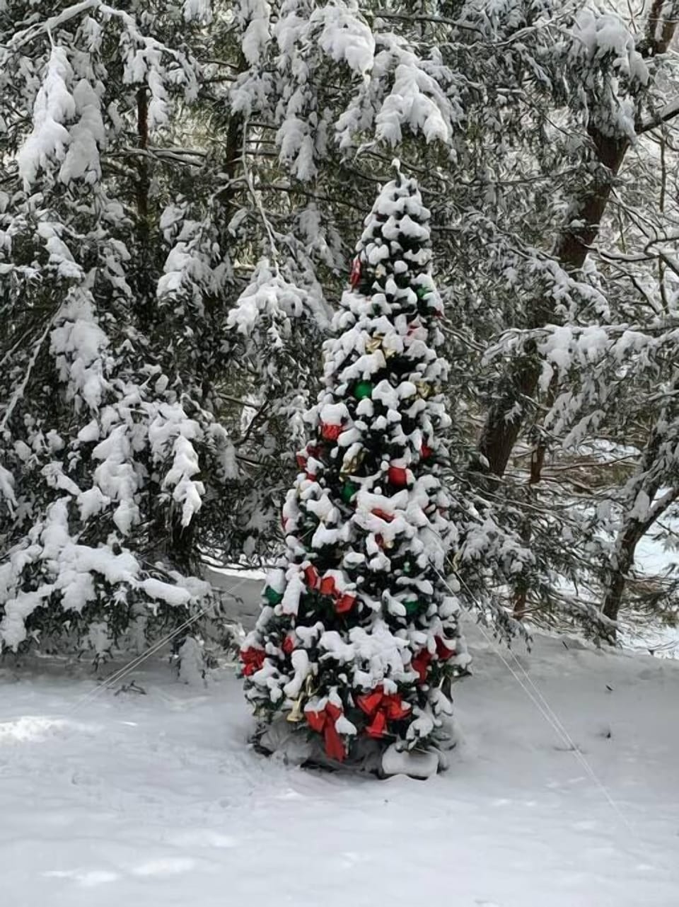The snow in winter makes for a peaceful holiday setting.