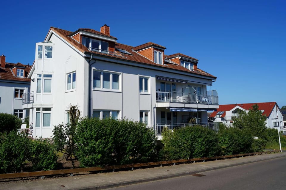 Main view