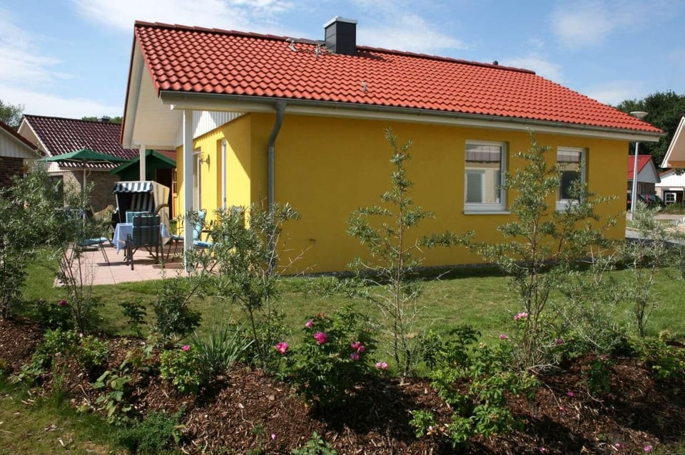 Main view