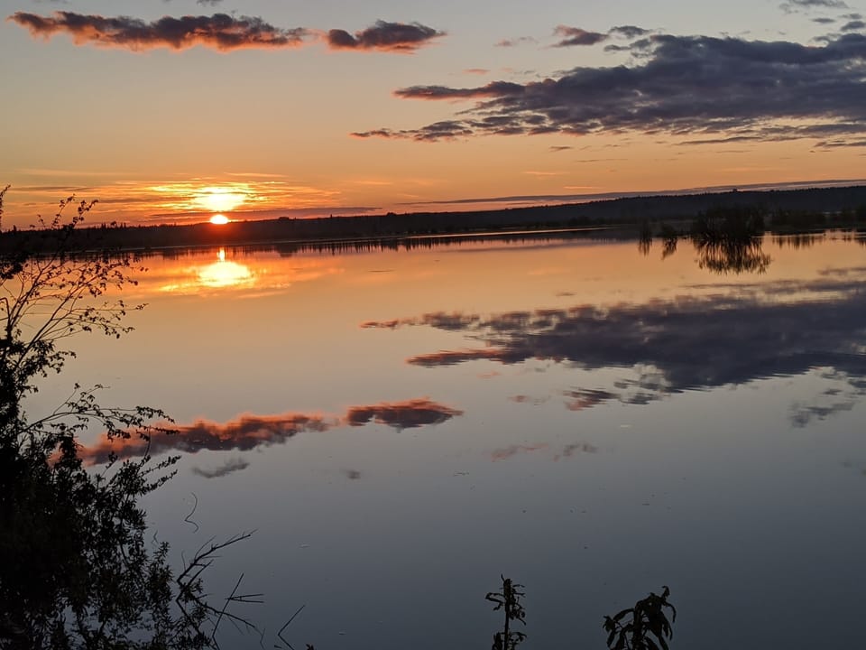 Beautiful view of the Kenai River. 