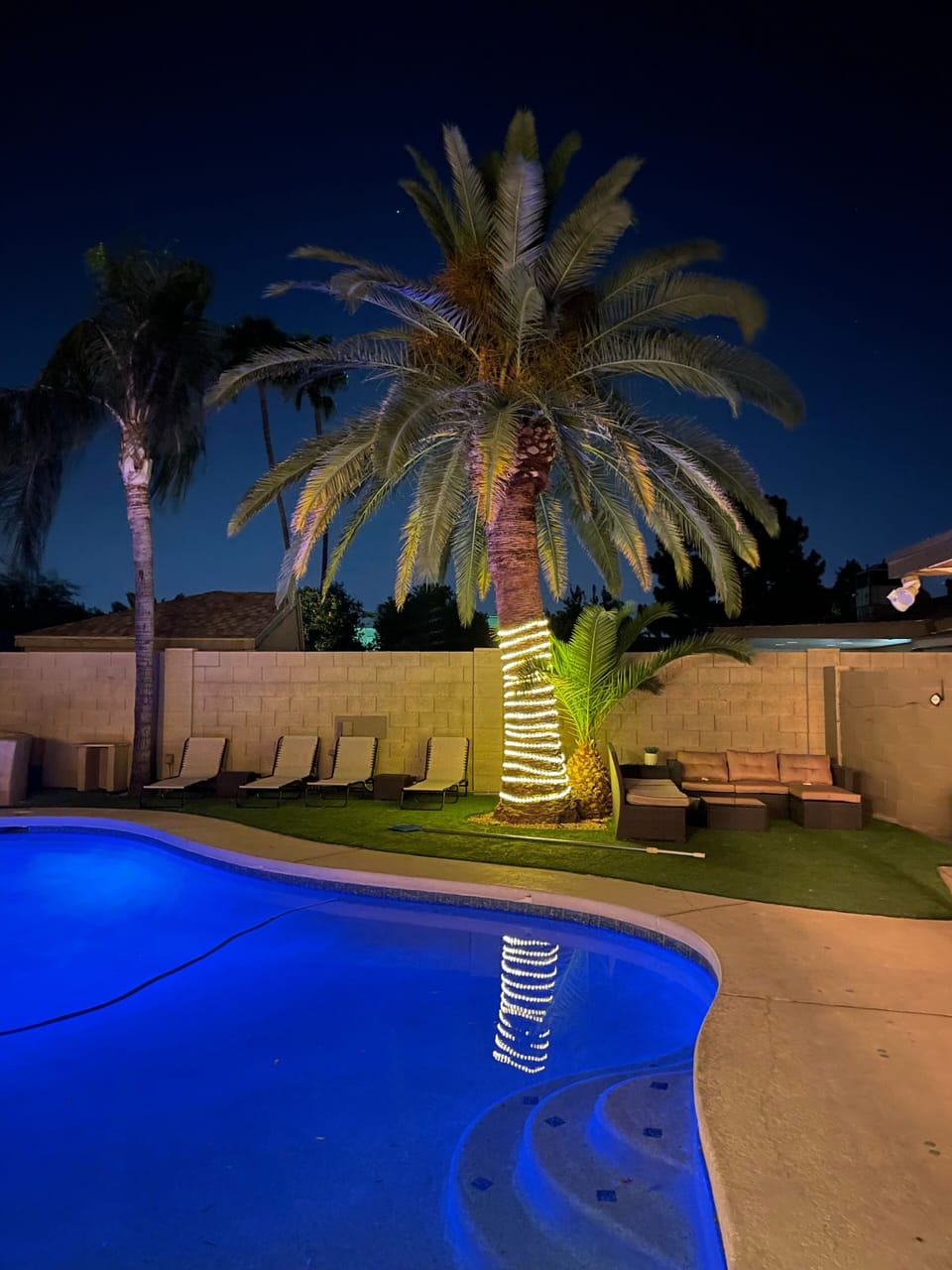 Beautiful Scottsdale nights! 