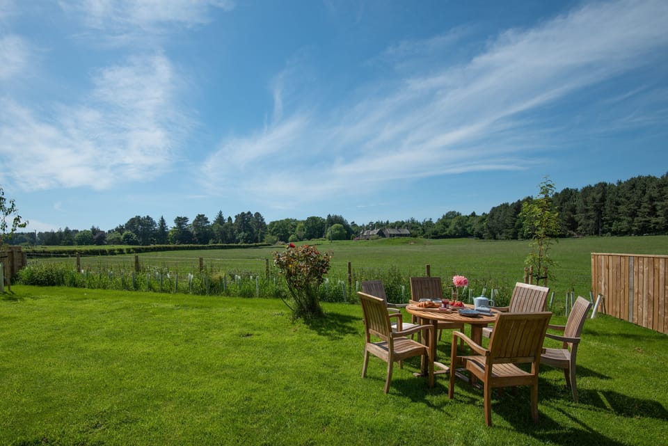 Overview Cottage - enclosed rear lawned garden with outside seating