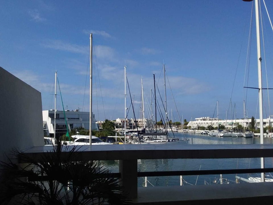 Marina