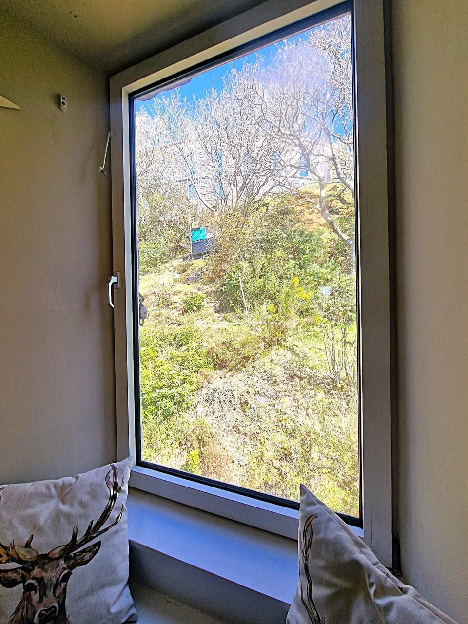 McCaigs Tower Apartment - Kitchen window view