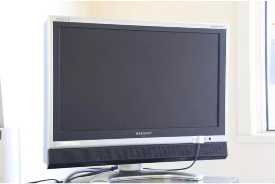 Television