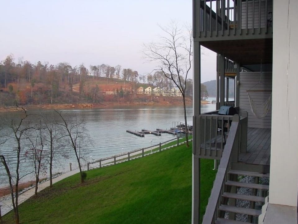 View from Deck