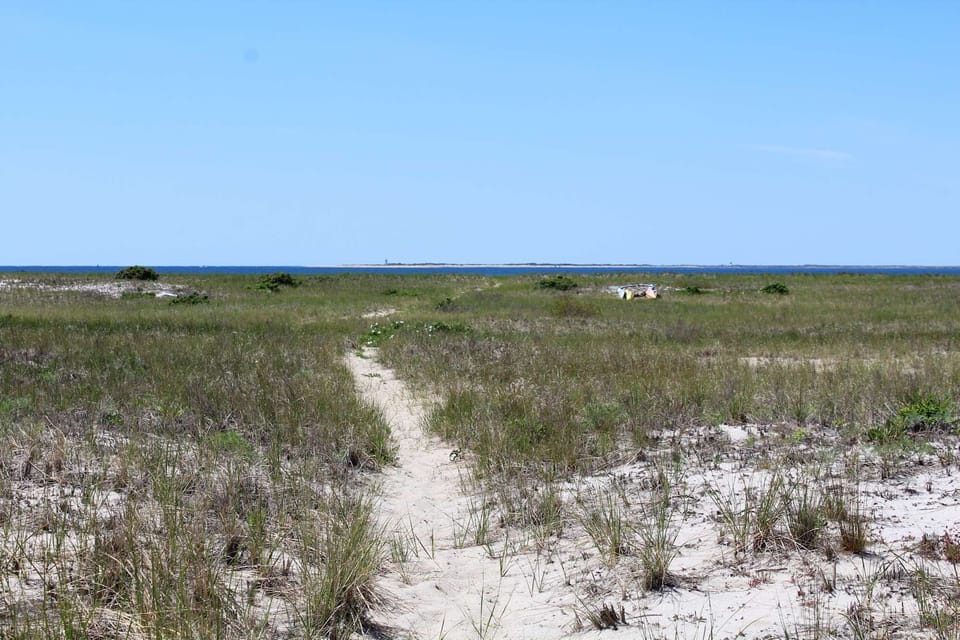 Follow the sandy path to the Cape Cod Bay beach